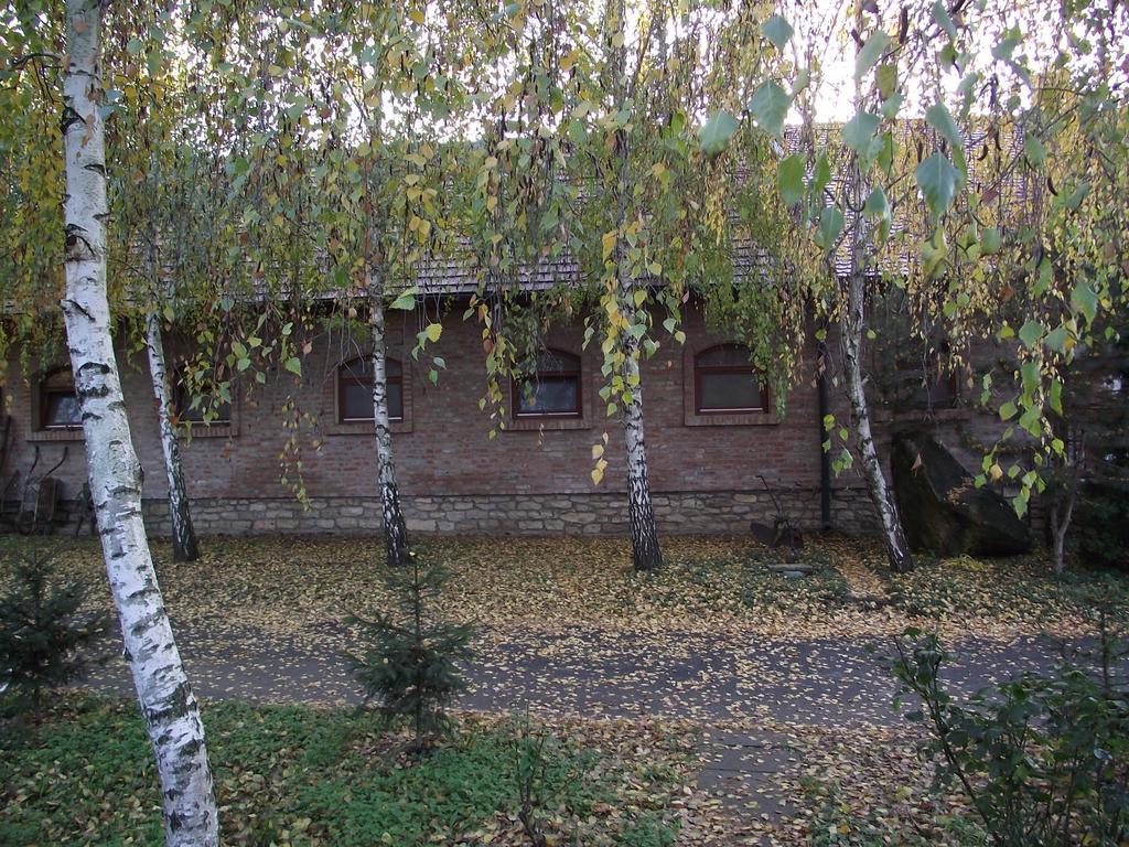 Szalma Vendeghaz Hotel Mogyorosbanya Екстериор снимка