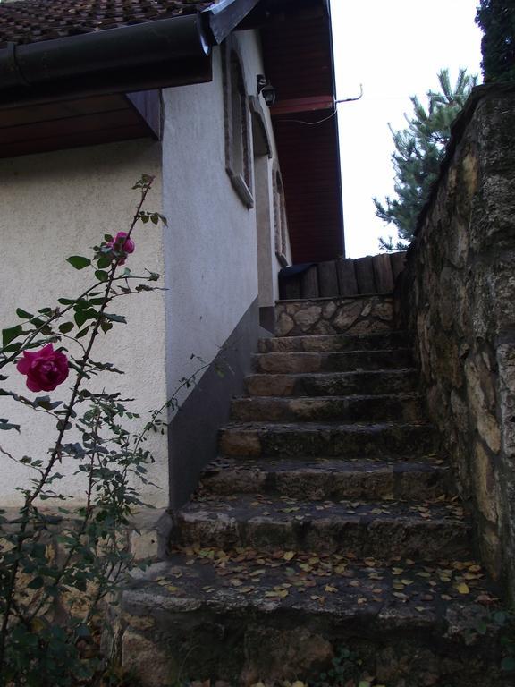 Szalma Vendeghaz Hotel Mogyorosbanya Екстериор снимка