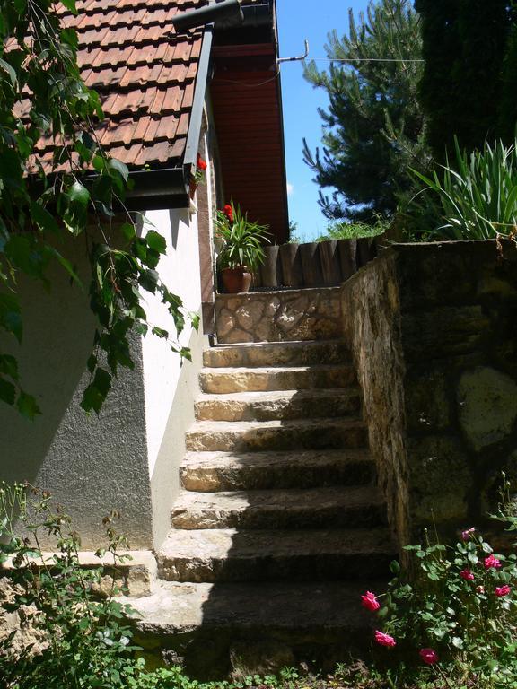 Szalma Vendeghaz Hotel Mogyorosbanya Екстериор снимка