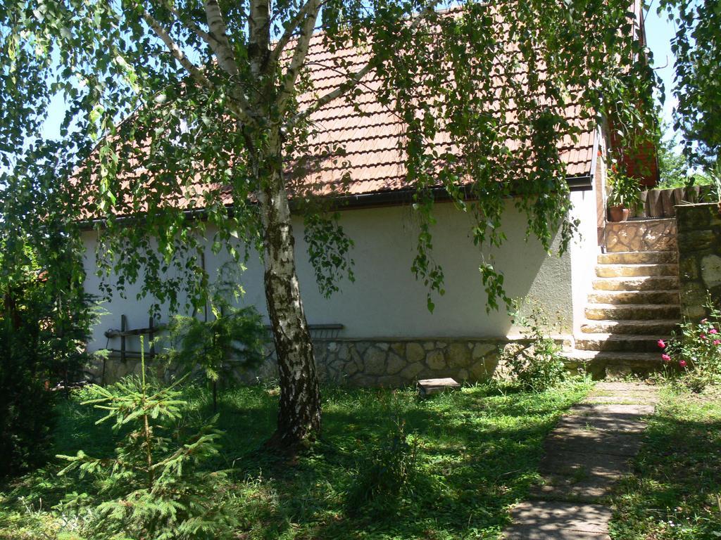 Szalma Vendeghaz Hotel Mogyorosbanya Екстериор снимка