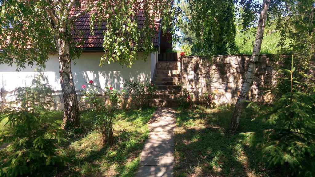 Szalma Vendeghaz Hotel Mogyorosbanya Екстериор снимка