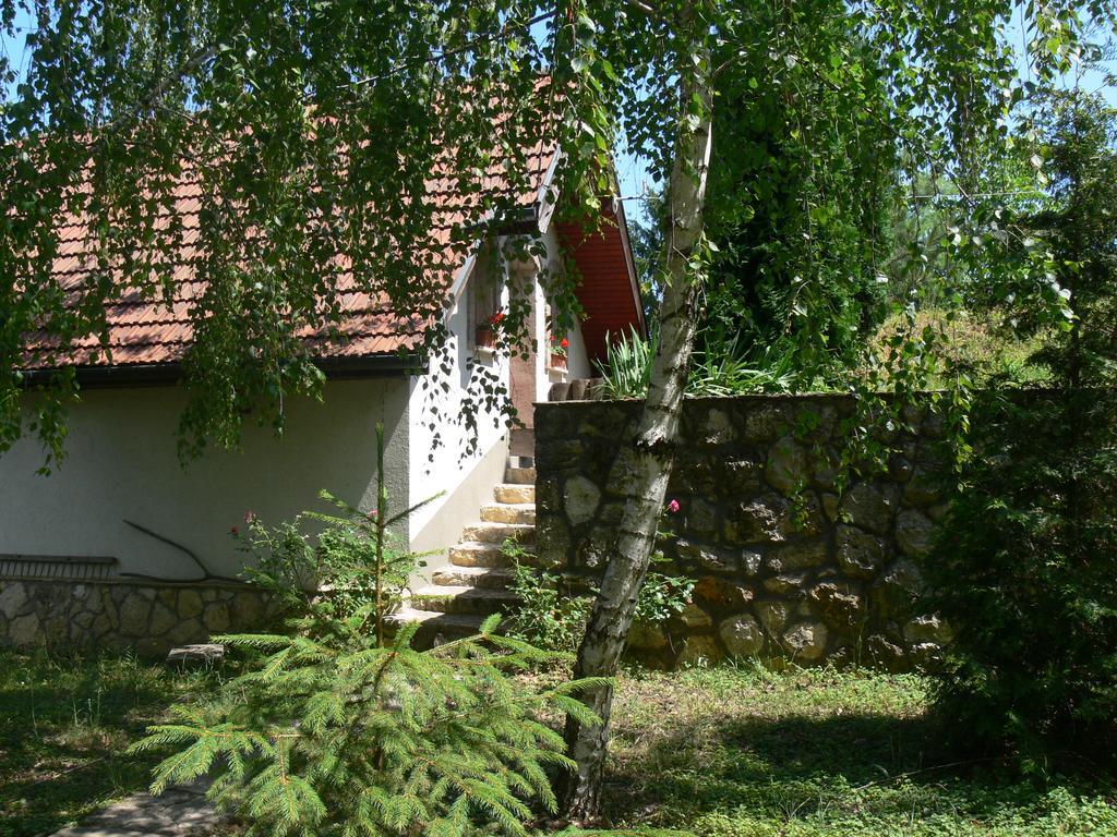 Szalma Vendeghaz Hotel Mogyorosbanya Екстериор снимка