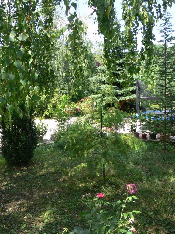 Szalma Vendeghaz Hotel Mogyorosbanya Екстериор снимка