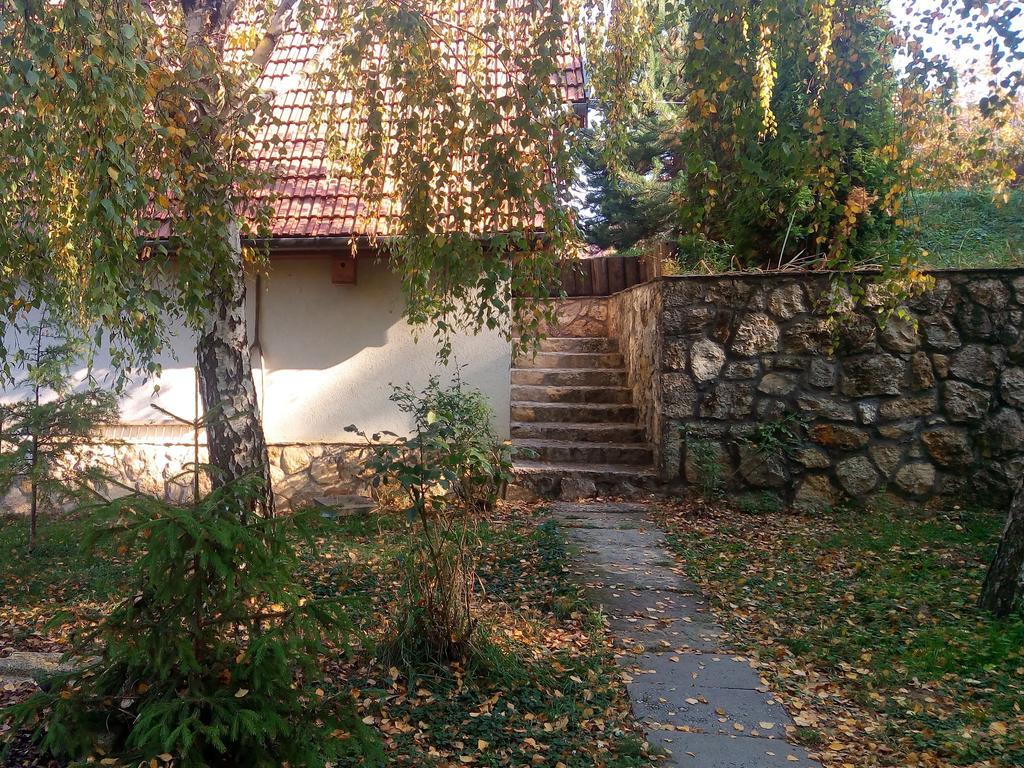 Szalma Vendeghaz Hotel Mogyorosbanya Екстериор снимка