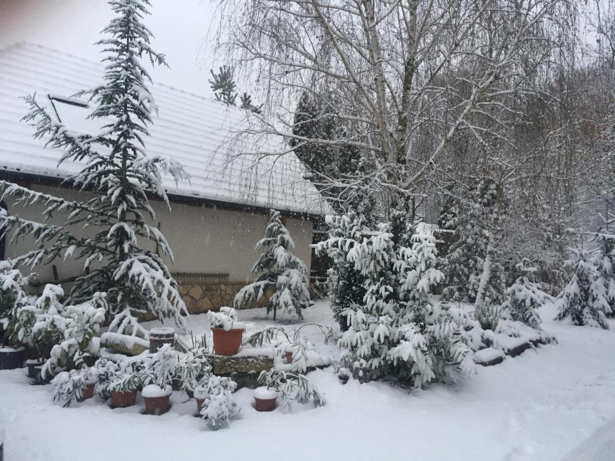 Szalma Vendeghaz Hotel Mogyorosbanya Екстериор снимка